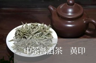 中茶普洱茶 黄印/2023041383804